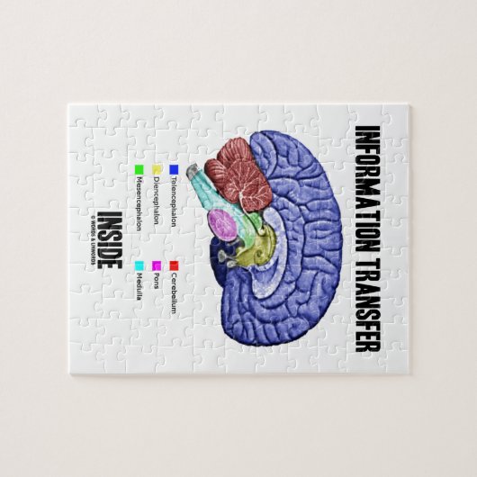 Informations-Übergangsinnere (Gehirn-Anatomie) Puzzle (Horizontal)