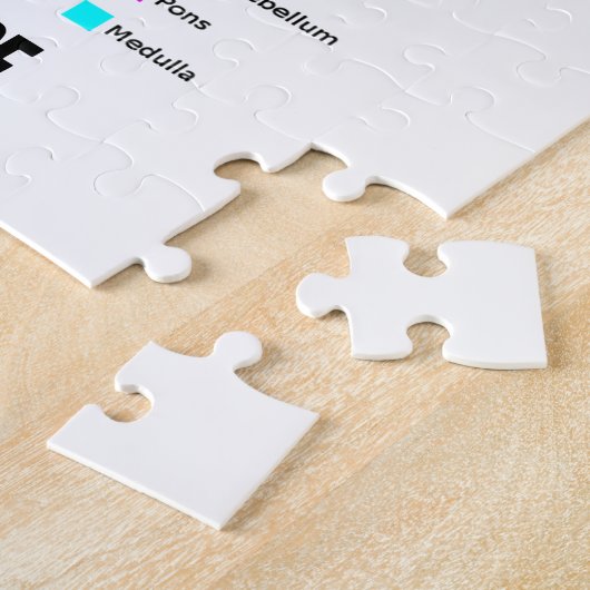 Informations-Übergangsinnere (Gehirn-Anatomie) Puzzle (Seite)