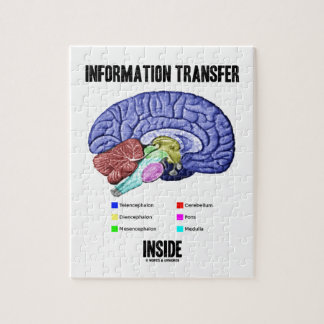 Informations-Übergangsinnere (Gehirn-Anatomie) Puzzle