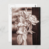 Infrared Bouquet Postkarte (Vorne/Hinten)