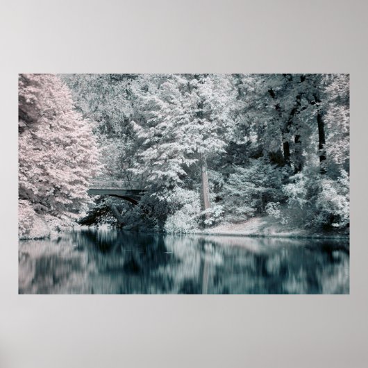 Infrared, Garden, Paris Poster (Vorne)