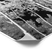 Infrared Poplar Tree Forest Poster (Ecke)