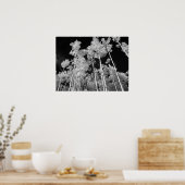 Infrared Poplar Tree Forest Poster (Küche)