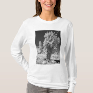 Infrarot-Foto der Ostseite des Yosemite National T-Shirt