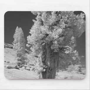 Infrarot-Foto im Osten des Yosemite National Mousepad