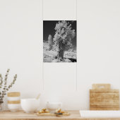 Infrarot-Foto im Osten des Yosemite National Poster (Küche)