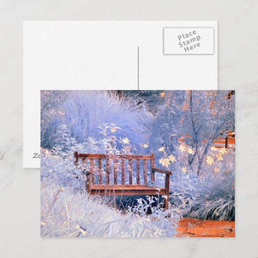 Infrarot Park Bench Postkarte (Vorne/Hinten)