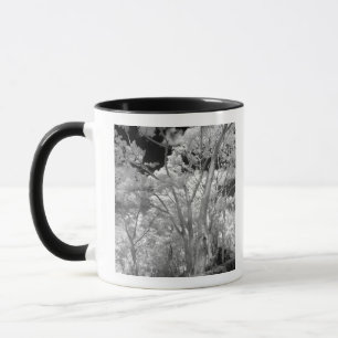 Infrarot von Bäumen, Gebäuden und Wegen in Las 2 Tasse