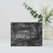 Infrarotlandschaft Schatten im Wald Postkarte (Stehend Vorderseite)