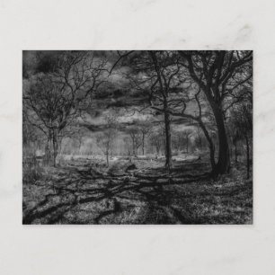 Infrarotlandschaft Schatten im Wald Postkarte