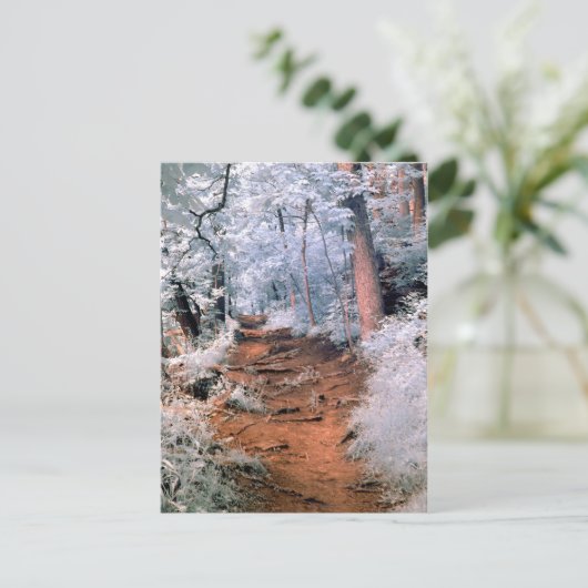 Infrarotwaldweg Postkarte (Stehend Vorderseite)