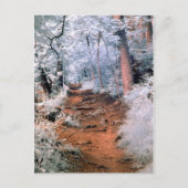 Infrarotwaldweg Postkarte (Vorderseite)