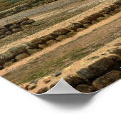 Ingapirca Inca Ruinen, Ecuador Poster (Ecke)