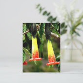 Ingapirca Inca Ruinen, Ecuador Postkarte (Stehend Vorderseite)