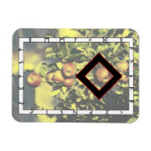 Ingwaz Rune Magnet - Held! (Horizontal)