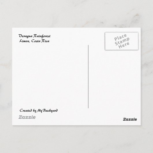 Ingwer-Blume mit Ant Postcard Postkarte (Rückseite)