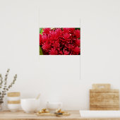 Ingwer Blume, Puerto Rico Blume Poster (Küche)
