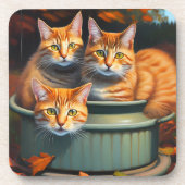 Ingwer Cats Pot Pflanze, sechs harte Plastik-Unter Getränkeuntersetzer (Vorderseite)