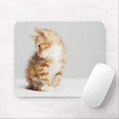 Ingwer-Kätzchen Mousepad (Mit Mouse)