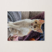 Ingwer Kätzchen Puzzle (Horizontal)