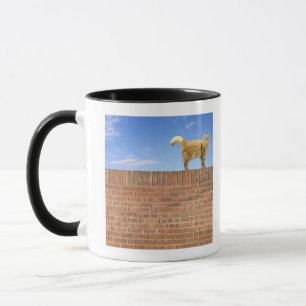 Ingwer-Katze stehend auf Ziegelstein-Wand Tasse