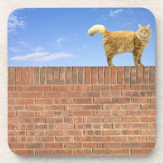 Ingwer-Katze stehend auf Ziegelstein-Wand Untersetzer (Vorderseite)