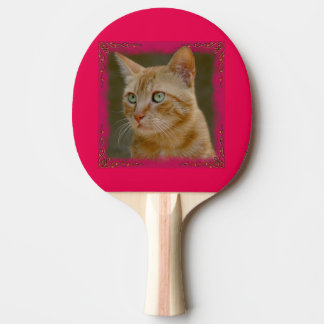 Ingwer-Katzen-Klingeln Pong Paddel Tischtennis Schläger