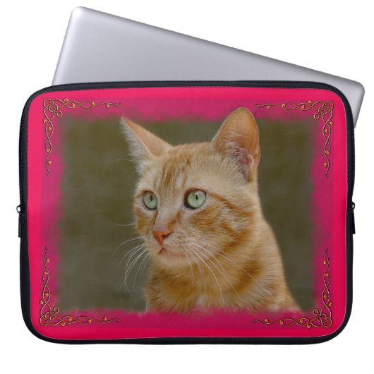 Ingwer-Katzen-Neopren-Laptop-Hülsen Laptopschutzhülle (Vorderseite)