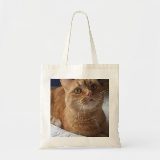 Ingwer-Katzen-Taschen-Tasche Tragetasche (Vorne)
