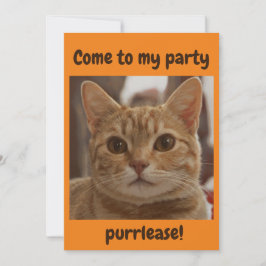 Ingwer Katzenbraun Augen Party Purpur Orange Einladung