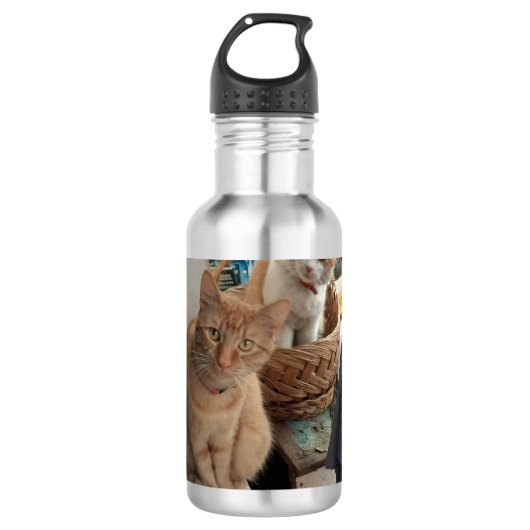 Ingwer Katzenflaschen Edelstahlflasche (Vorderseite)