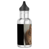 Ingwer Katzenflaschen Edelstahlflasche (Links)