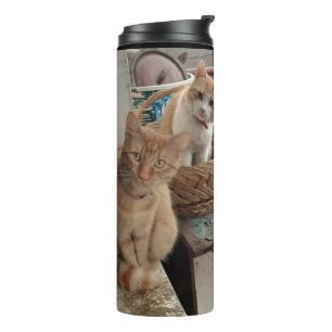 Ingwer Katzenwärmer Thermosbecher