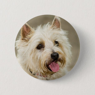 Ingwer lächelt Button