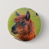 Ingwer-Lama Button (Vorderseite)