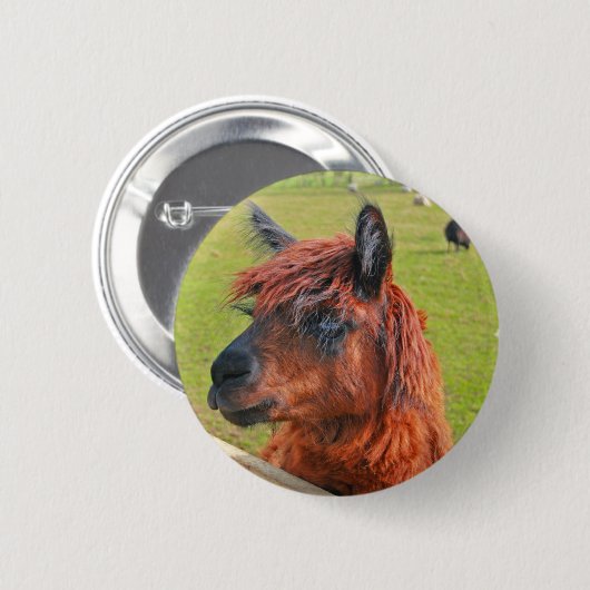 Ingwer-Lama Button (Vorne & Hinten)