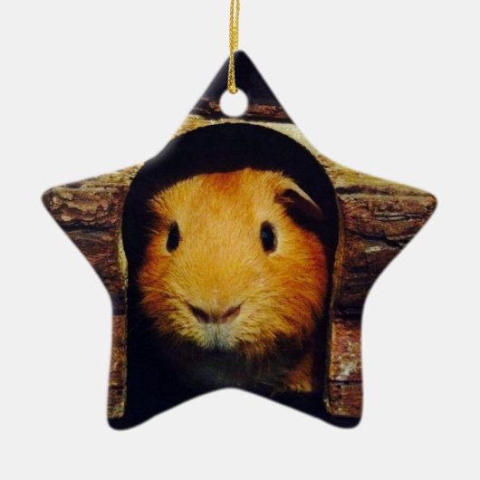Ingwer-Meerschweinchen-Geschenke Keramik Ornament (Vorne)