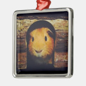 Ingwer-Meerschweinchen-Geschenke Ornament Aus Metall (Links)