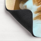 Ingwer Tabby im Sammelpack Mousepad (Ecke)