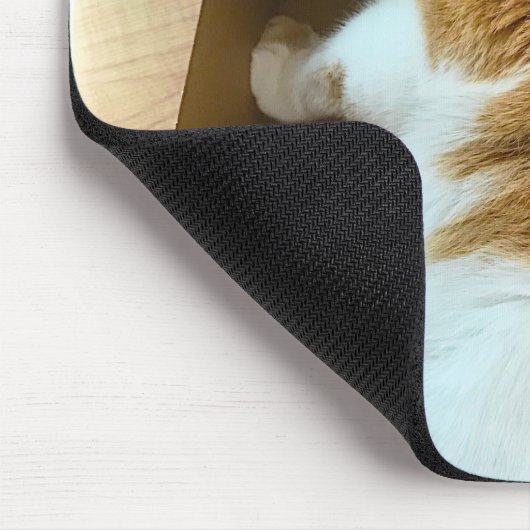 Ingwer Tabby im Sammelpack Mousepad (Ecke)