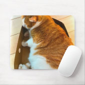 Ingwer Tabby im Sammelpack Mousepad (Mit Mouse)