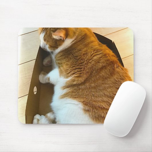 Ingwer Tabby im Sammelpack Mousepad (Mit Mouse)