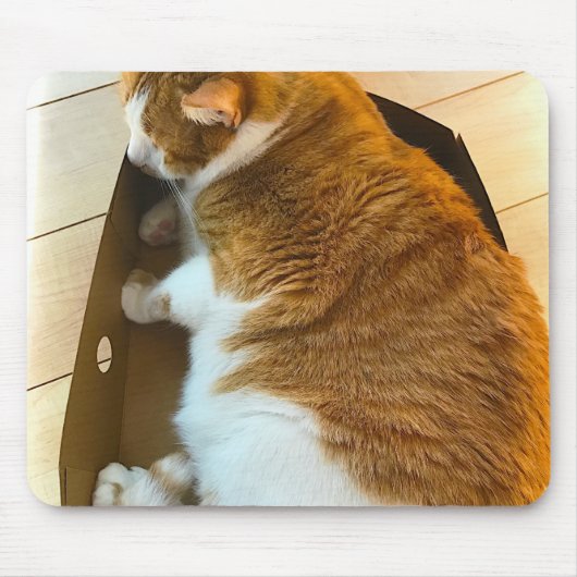 Ingwer Tabby im Sammelpack Mousepad (Vorne)