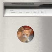 Ingwer-Tabby-Kitzy-Katze Magnet (In Situ (Geschirrspüler))