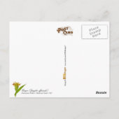 Ingwer - Vintage Abbildung Postkarte (Rückseite)