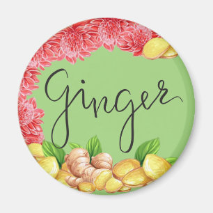 Ingwergewürz Magnet