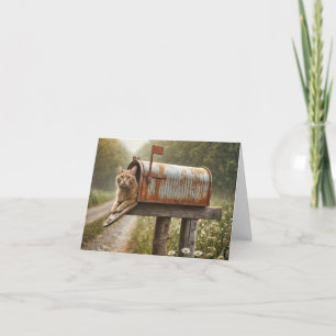 Ingwerkatze in einer Mailbox Karte