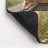 Ingwerkatze in einer rauen Postbox Mousepad (Ecke)