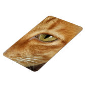 Ingwerkatze Magnet (Linke Seite)