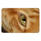 Ingwerkatze Magnet (Horizontal)